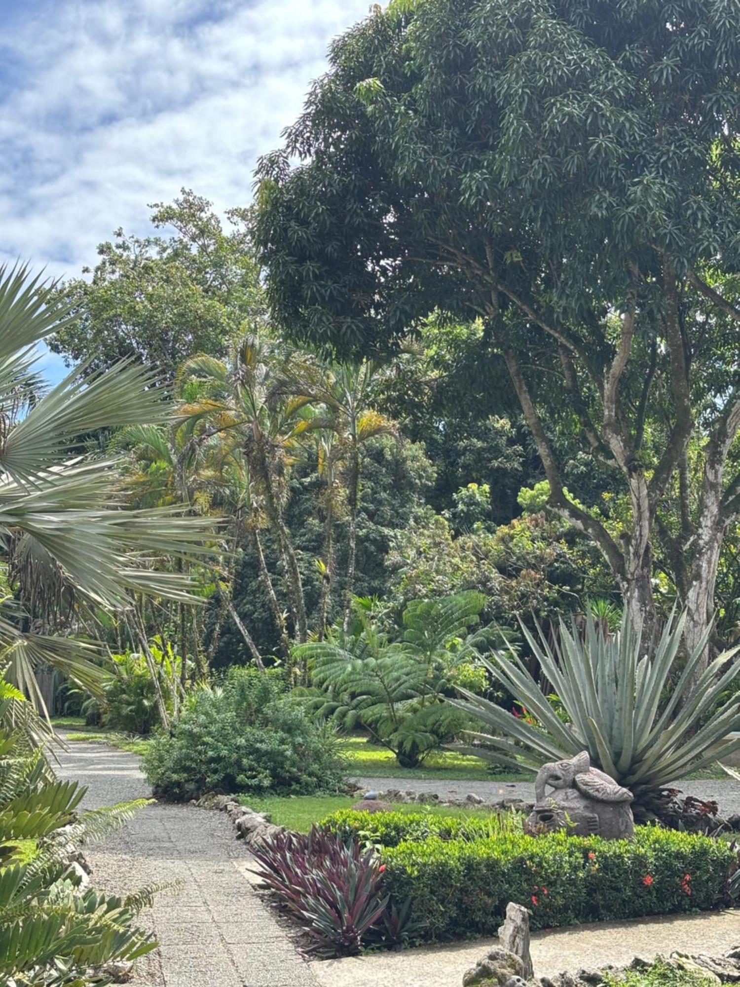 Hotel Suizo Loco Lodge & Resort Cahuita Luaran gambar