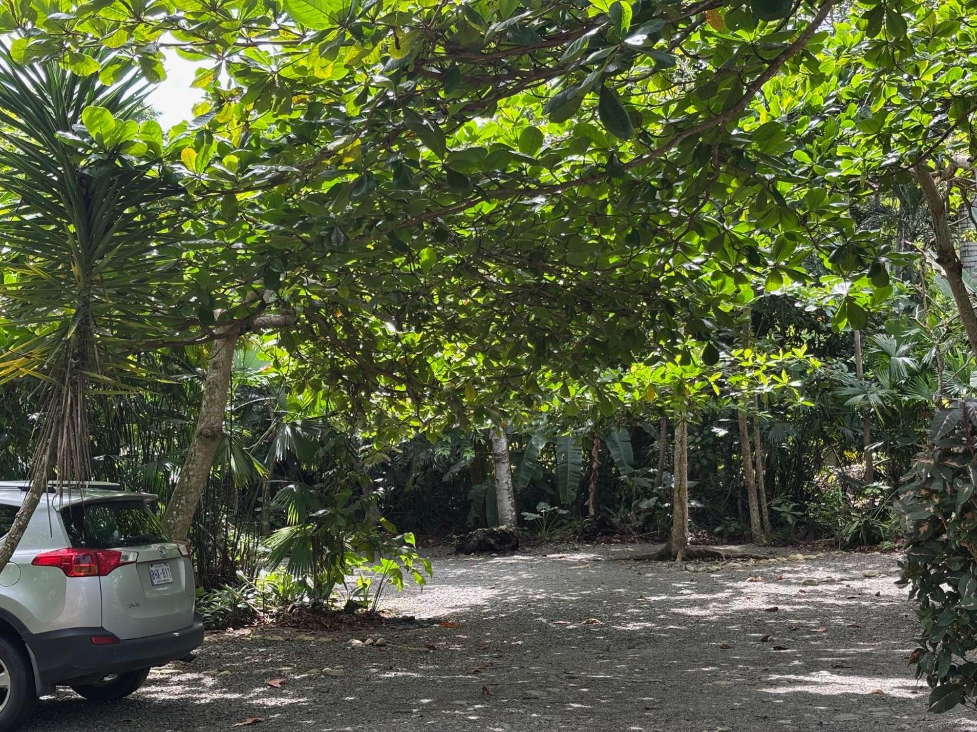 Hotel Suizo Loco Lodge & Resort Cahuita Luaran gambar