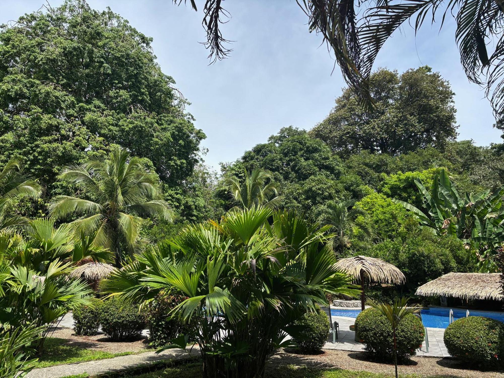 Hotel Suizo Loco Lodge & Resort Cahuita Luaran gambar