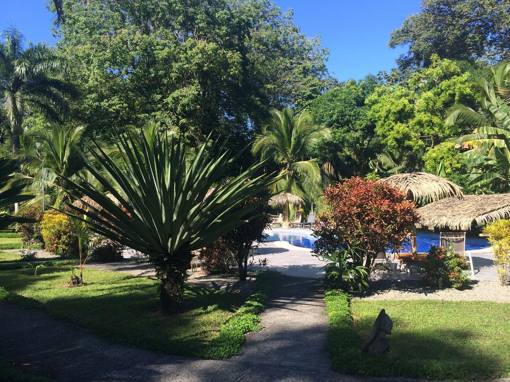Hotel Suizo Loco Lodge & Resort Cahuita Bilik gambar